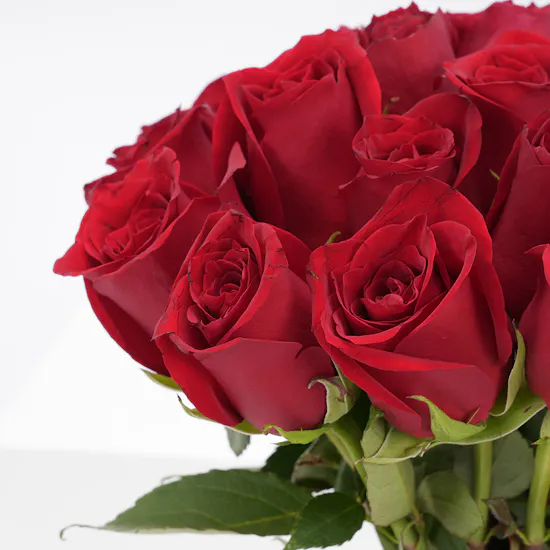 Levo Chocolate | Roses