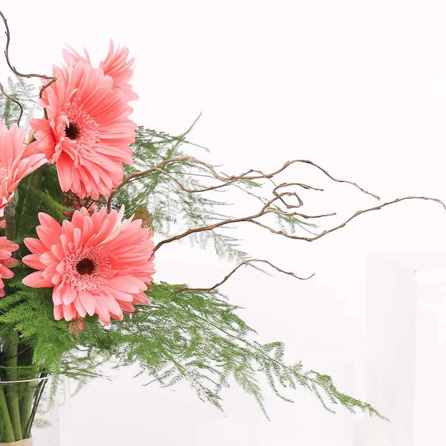 15 Pink Gerbera | Cylinder Vase 4