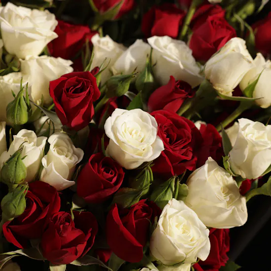 Polished Calm Flower Bouquet | 50 Flowers