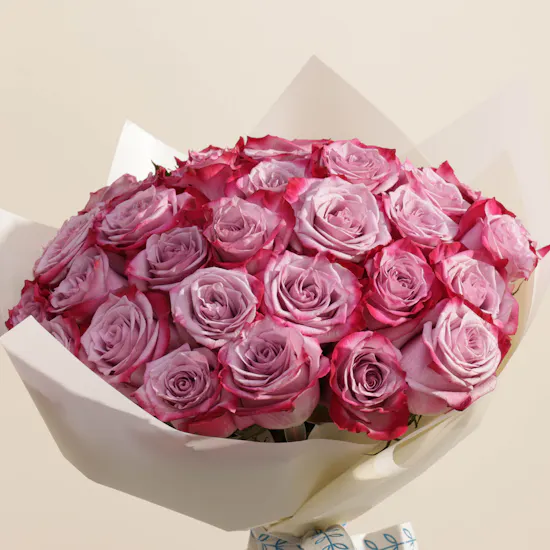Delightful Purple | White Wrap