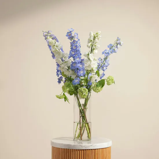 Delphinium Cloud Vase