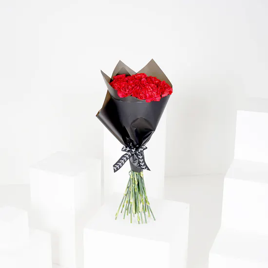 Enta Omry Carnation | Bouquet