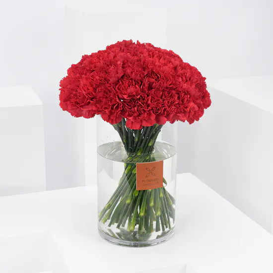 Red Carnations | Cylinder Vase