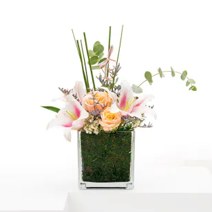 Delicate Flowers