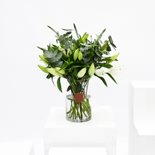 Enchanting White Vase