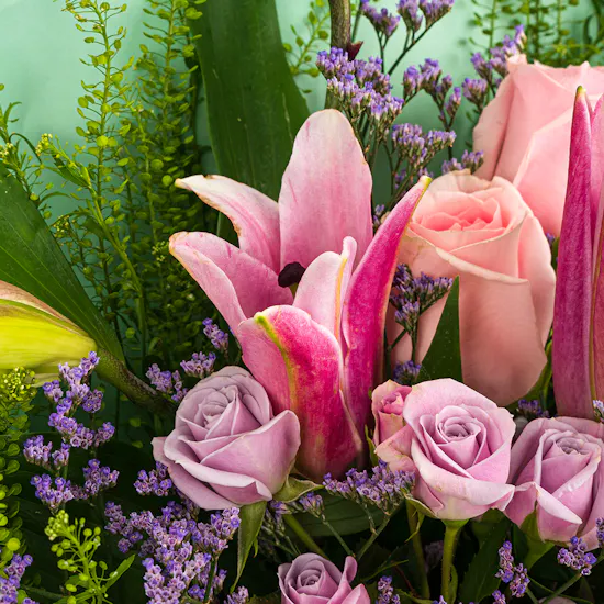 Bloom | Pink Flowers