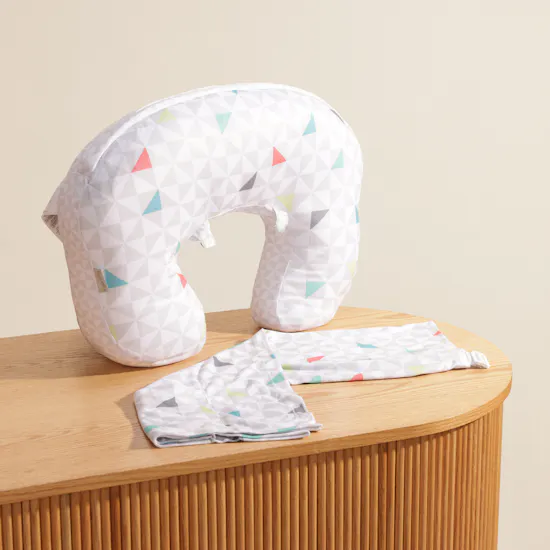 Ingenuity Plenti+ Colorful Nursing Pillow and Cover Set