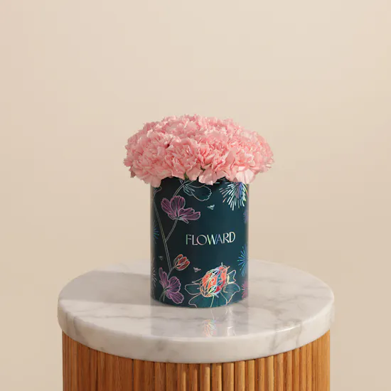Soft Pink Carnation Box | 25 Flowers