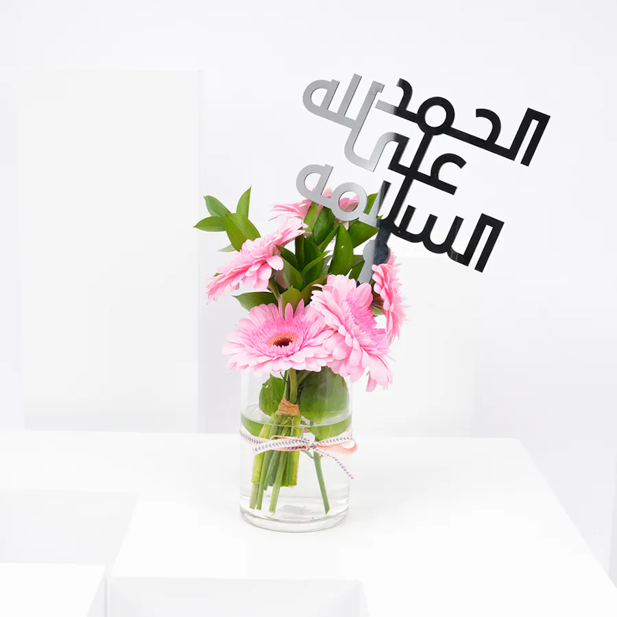 Get Well Soon | Pink Gerbera 1