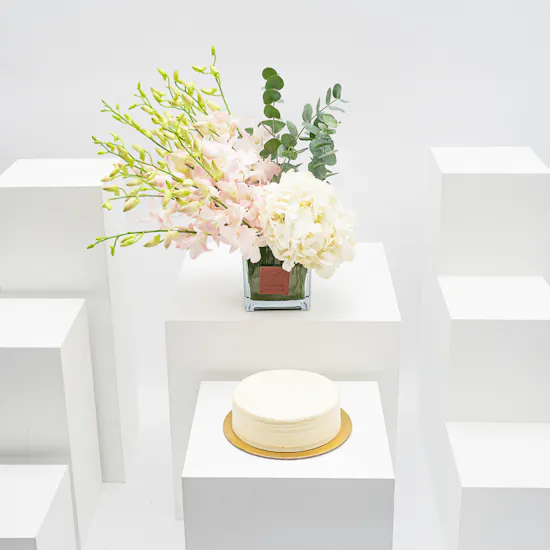 Munch Bakery Vanilla Cake | White Beauty
