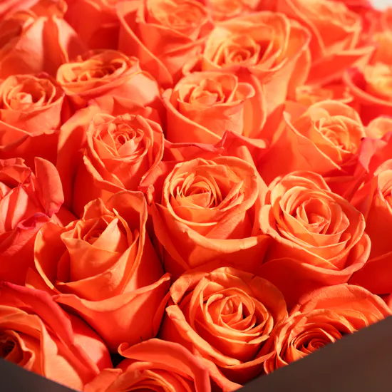 Sunset Glow Bouquet | 150 Roses