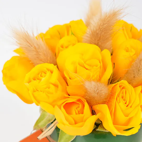 Heritage Cup of Roses
