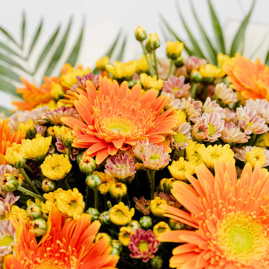 Chrysanthemum & Gerbera | Brown Wrap