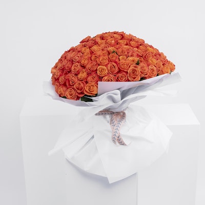 150 Roses | White Wrap