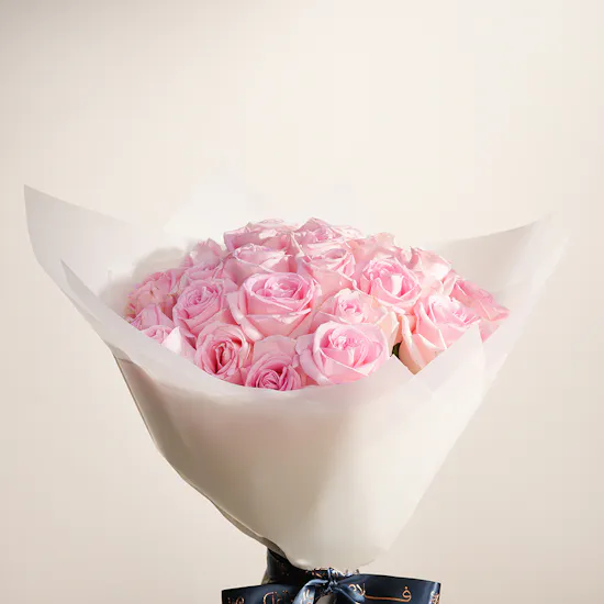 Light Pink Roses | Cream Wrap