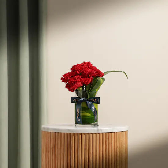 Astounding Red Carnation Vase