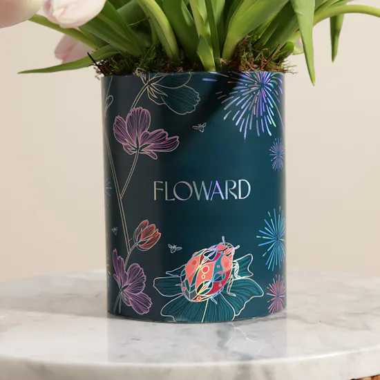 Gentle Pink Tulip Box | 30 Flowers