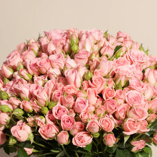 Royal Pink Rose Vase