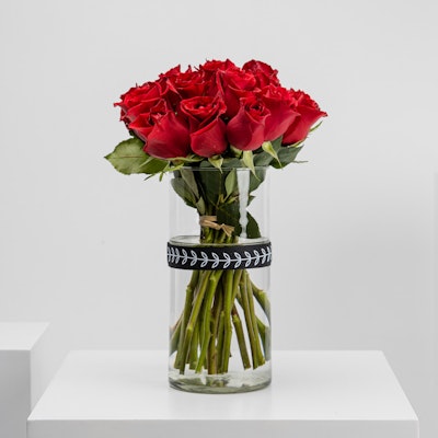 20 Red Roses Cylinder