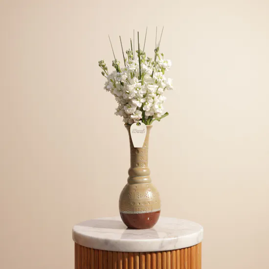 White Matthiolas | Keramos Studio Vase