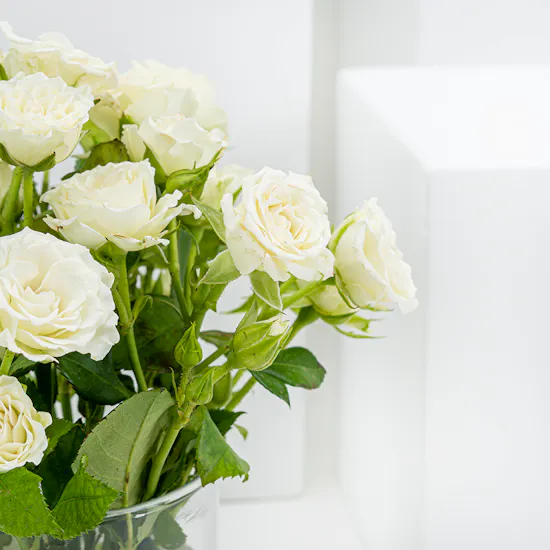 Secret's Strawberry Tart | White Baby Roses