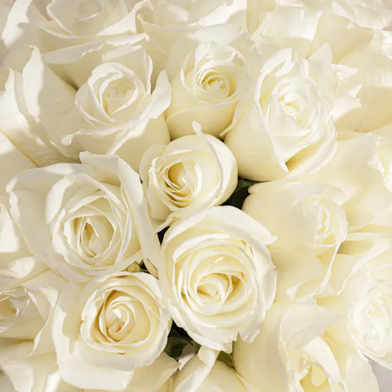 Charming Roses Vase | 35 Flowers