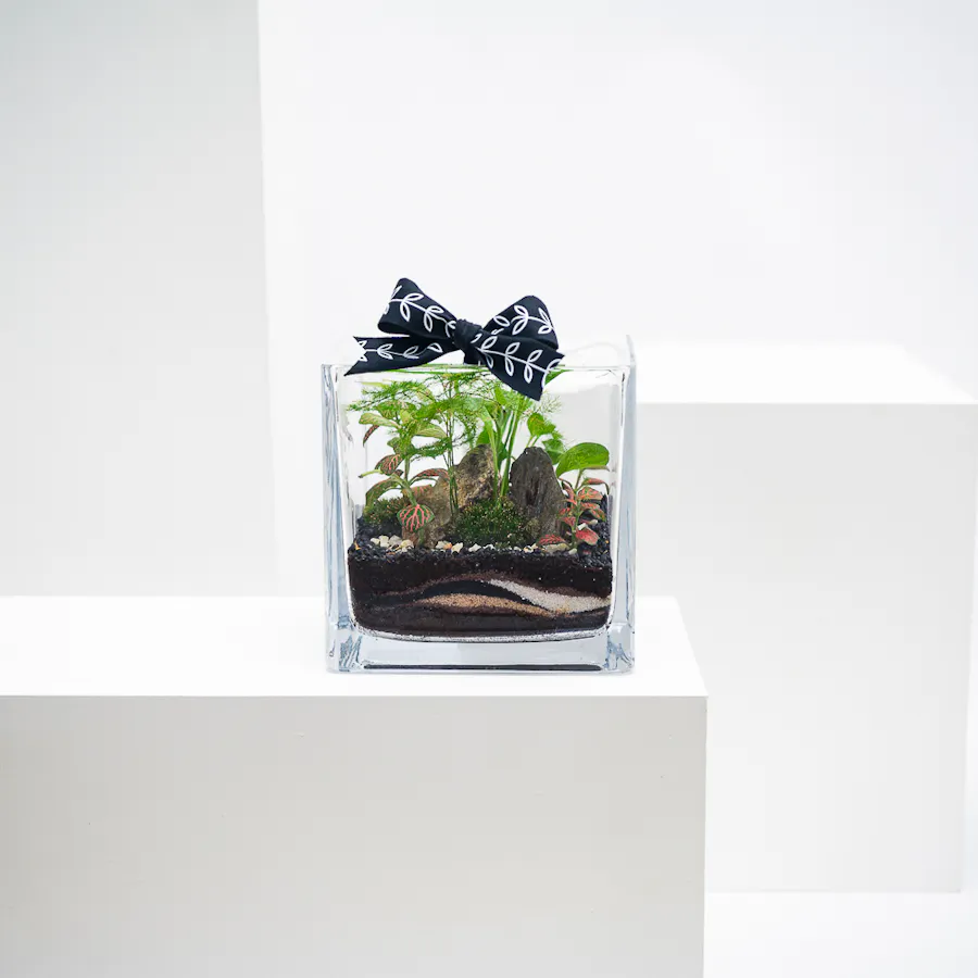 Vivid Tropical Garden | Closed Terrarium  1