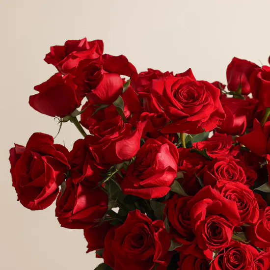Heartbeat Red Roses Box
