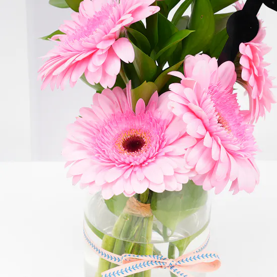 Get Well Soon | Pink Gerbera