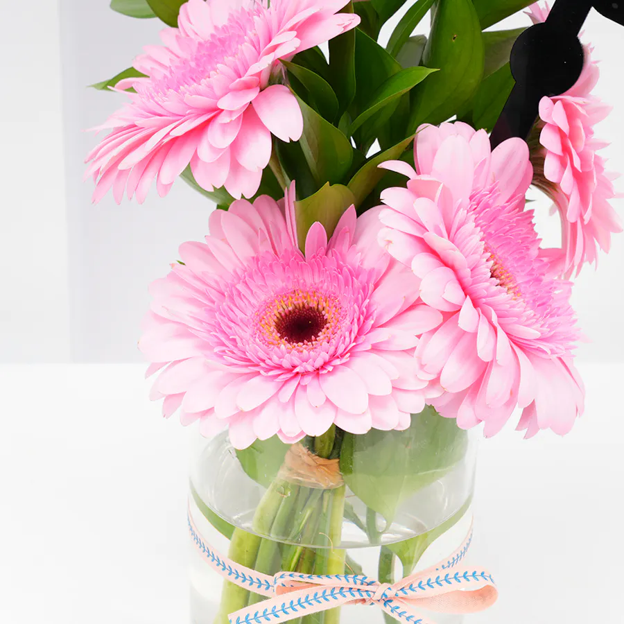 Get Well Soon | Pink Gerbera 2
