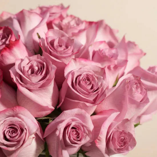 Magical Purple Roses Vase | 35 Flowers