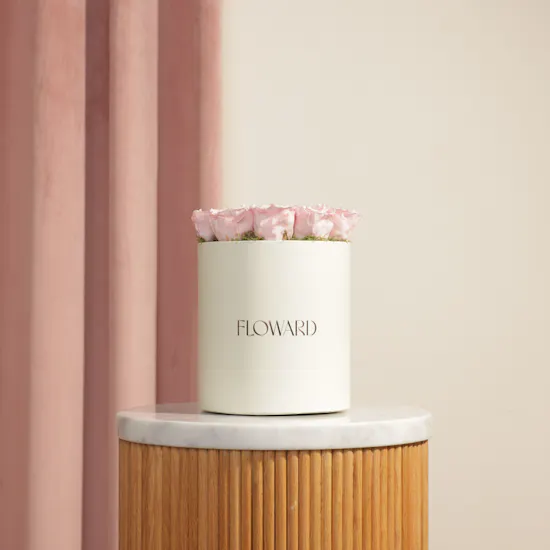 Soft Pink Medium preserved Roses Box