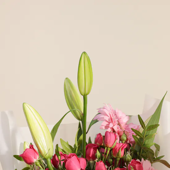 Abucci Chocolate Box | Sunny Delight Flowers Bouquet