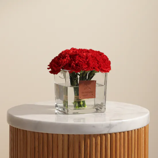 25 Red Carnations | Square Vase