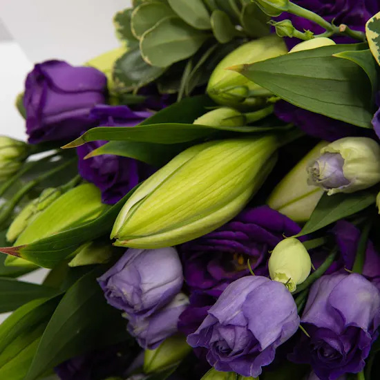 Lily & Eustoma | White Wrap