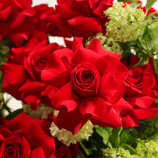 Crimson Wonder Flower Vase