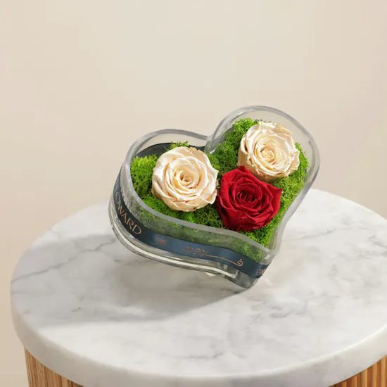 Timeless Love Preserved Rose Vase