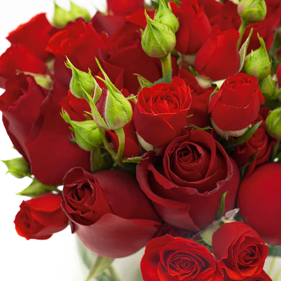 Munch Bakery Red Velvet Cake | Red Flowers  5