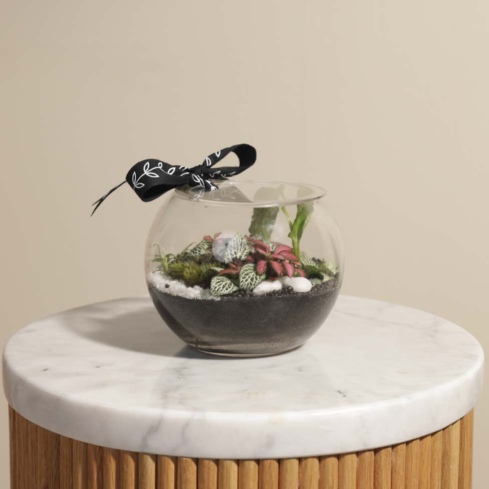 الحديقة الاستوائية المنعشة | تيراريوم مغلق