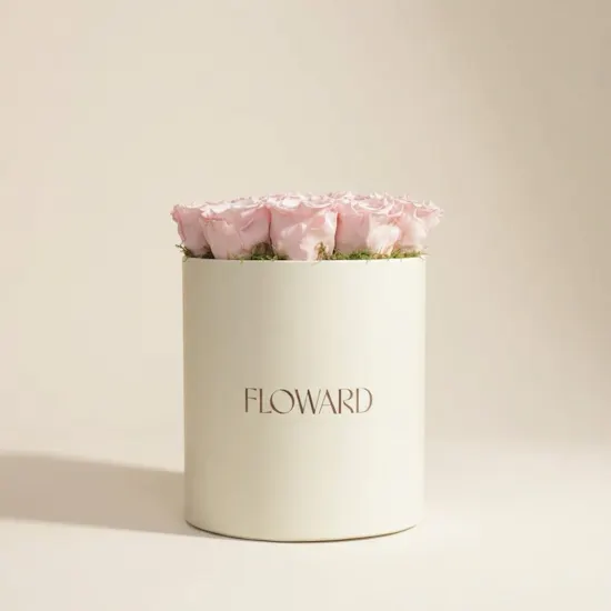 Soft Pink Medium preserved Roses Box