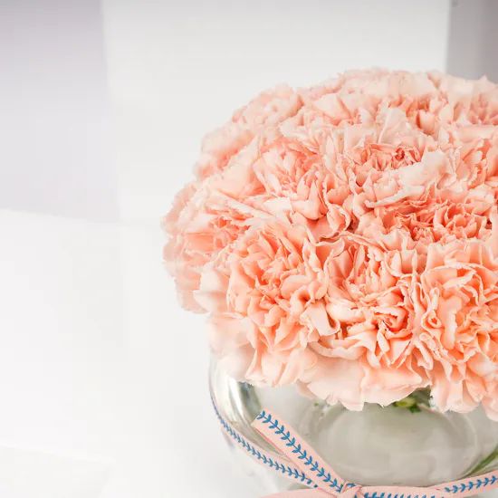 Baby Crown Flower Diamond Baby Earring | Carnation Vase