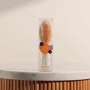 Early Days Ducks Baby Hair Brush