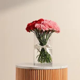Radiance Carnations Vase