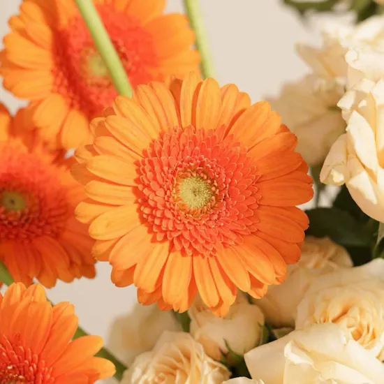 Radiance in Peach Flower Vase