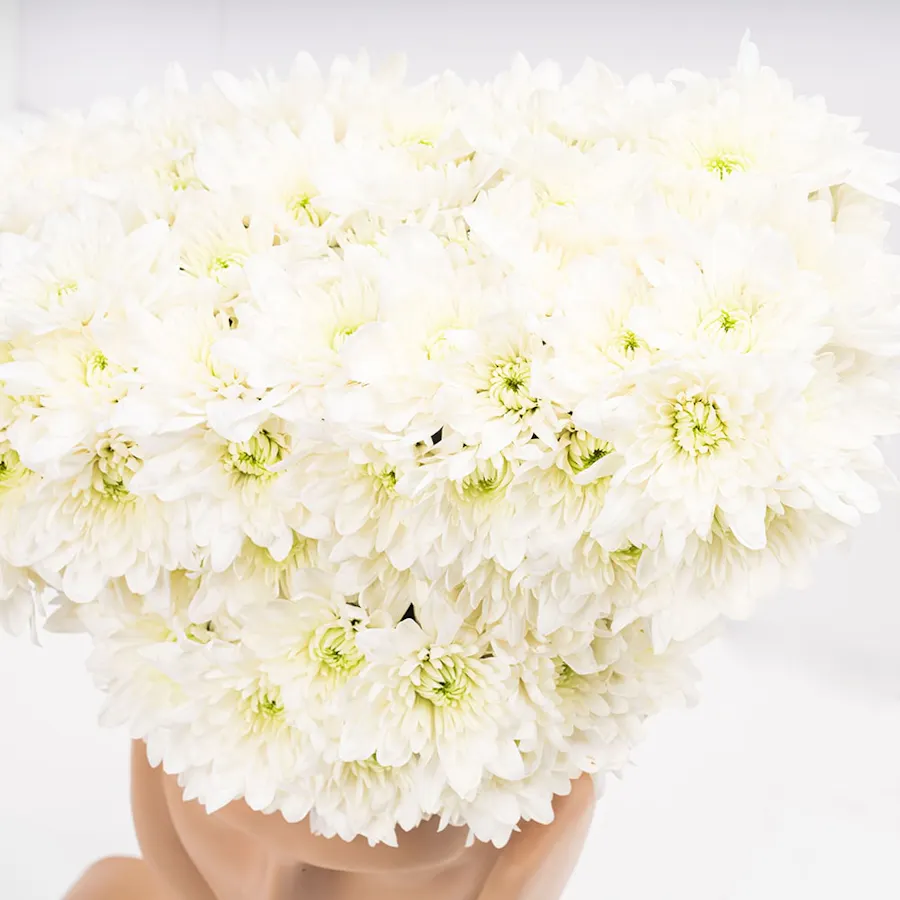 Chrysanthemums | Face Vase 2