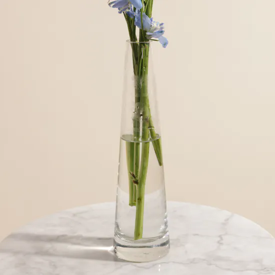 Light Blue Delphinium Vase