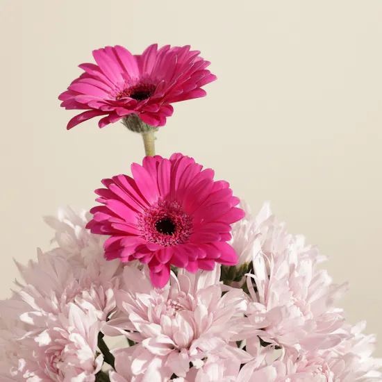 Her Pink Crown Flower Box