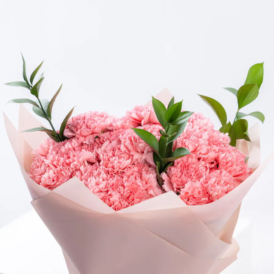 Warm Pink Bouquet | 50 Pink Carnations 3