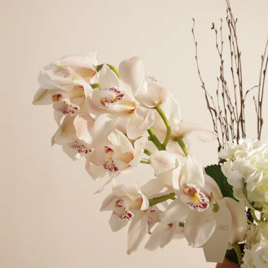 White Whisper Keramos Vase
