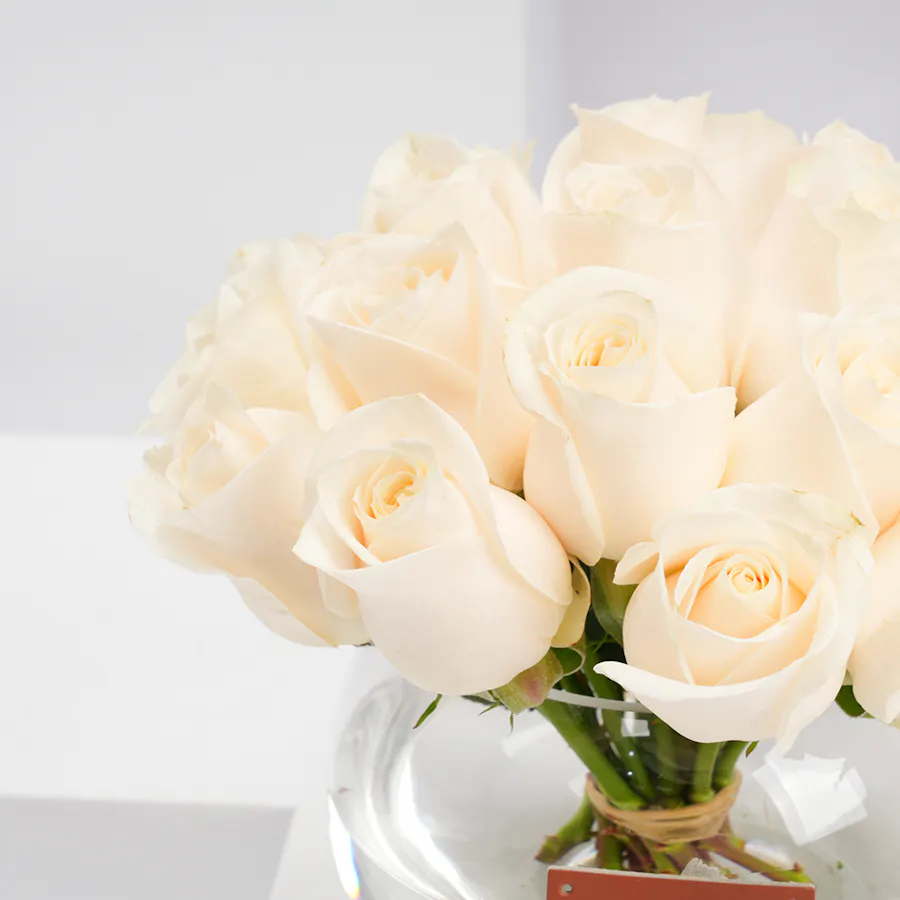 Floward Plush Panda with 20 White Roses Vase 3
